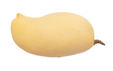 Ripe yellow mango isolated on a white background. Close-upの写真素材