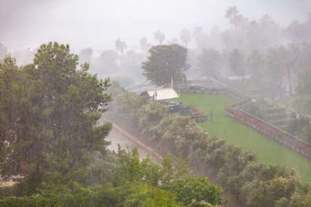 Trees in the park in rain water. Stormの写真素材