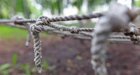 Rope net as an attraction in the park.の写真素材