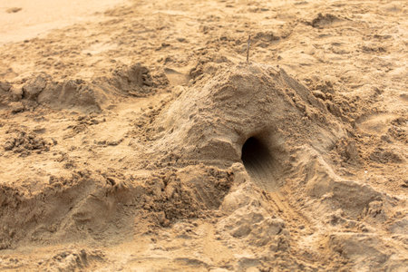 Sand buildings on the beach by the sea.の写真素材