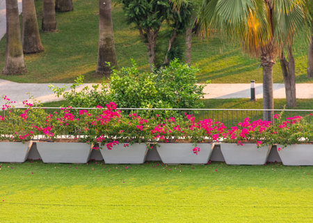 Red birds in a flower bed. Nature in the parkの写真素材