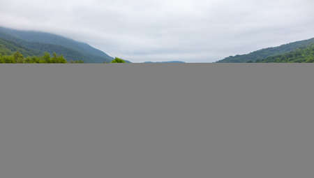 Mountain river in nature in the park.の写真素材