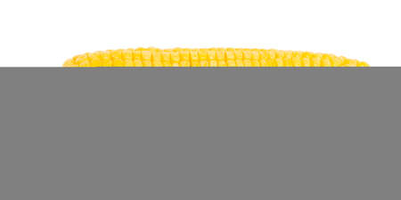 Ripe ear of corn isolated on a white background. Close-up