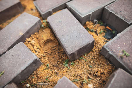 Broken paving slabs as background. Close-up