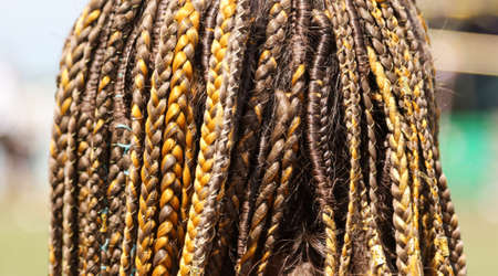 African braids on the girl's head. Close-upの写真素材