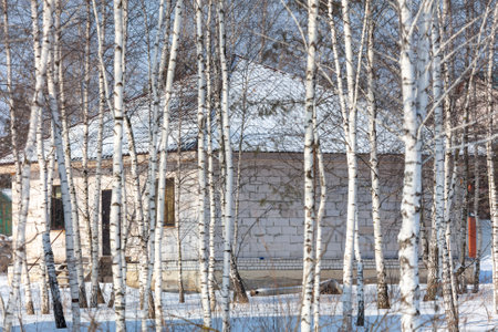 Cottage in the snow in winter.の写真素材