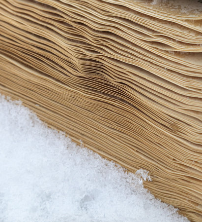 Book pages in the snow. Close-up