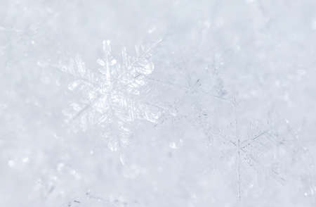 Close up of snowflakes as background. Macro