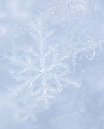 Close up of snowflakes as background. Macroの写真素材