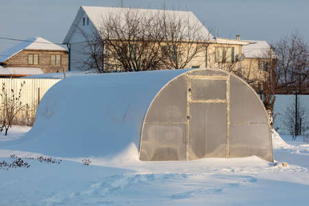 Greenhouse in the snow in the garden. Nature in winterの写真素材