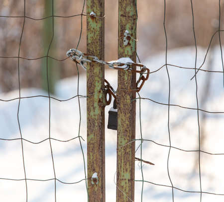 Chain with a lock on a metal gate with a mesh.の写真素材