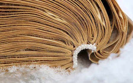 Book pages in the snow. Close-up