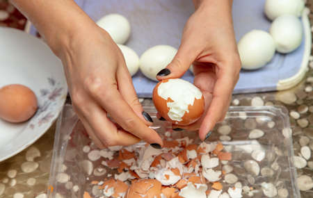 The girl cleans a boiled egg with her hands in the kitchen.