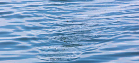 Smooth water as an abstract background. Texture