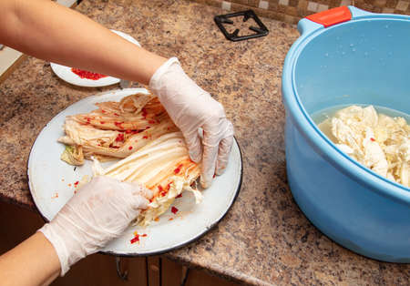 A woman is salting cabbage in Korean in the kitchen. Processの写真素材