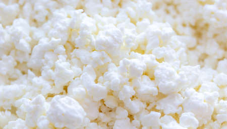 Fresh milk curd as background. Close-upの写真素材