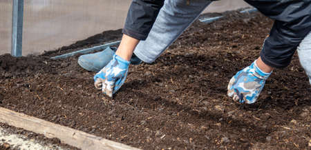 The girl sows seeds in the ground in spring.