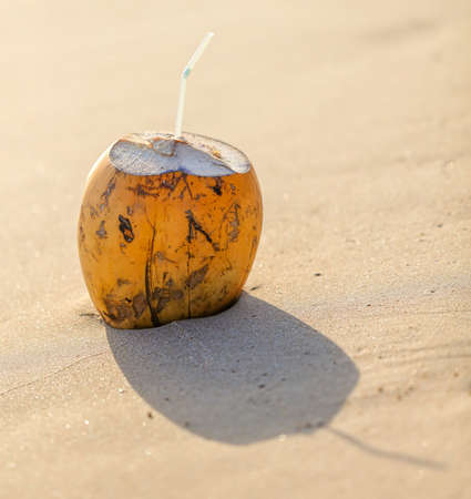 Coconut with a straw lies on a sandy beach near the sea.の写真素材