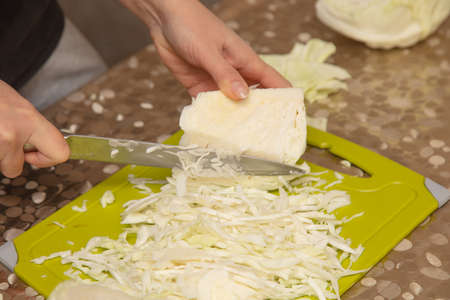 A woman cuts a cabbage with a knife. Processの写真素材