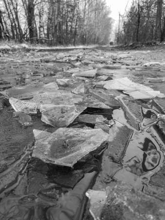 Frozen puddles on a dirt road. Nature in winter. Black and white photoの写真素材