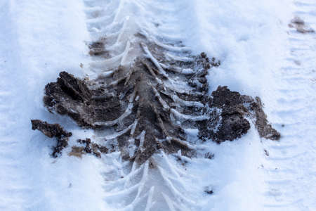 Traces from a car in the snow. Nature in winter.