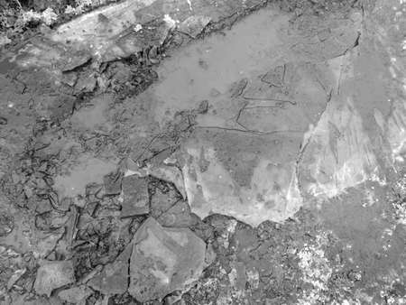 Frozen puddles on a dirt road. Nature in winter. Black and white photoの写真素材