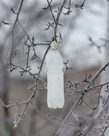 Plastic bottle on a tree branch in the snow in winter. close-upの写真素材
