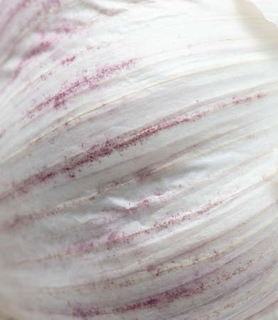 Garlic husk as a background. close-up