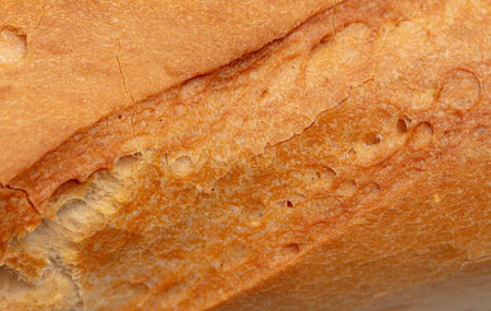 Rusty crust of bread as a background. Textureの写真素材
