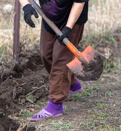 Woman digs soil with a shovel in a vegetable garden in spring.の写真素材