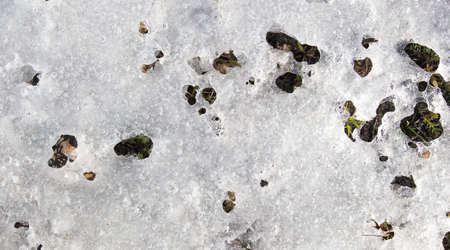 Snow melts on the ground in spring. backgroundの写真素材