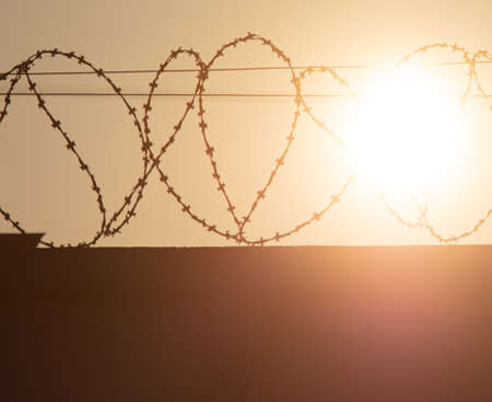 Barbed wire on a fence at sunset.の写真素材