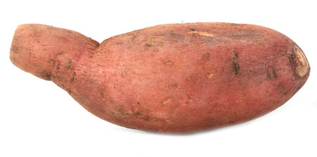 Sweet potato isolated on white background. close-upの写真素材