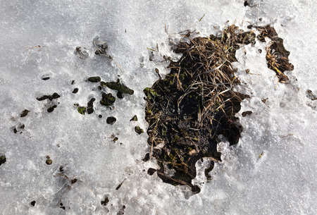 Snow melts on the ground in spring. background
