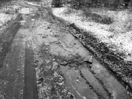 Frozen puddles on a dirt road. Nature in winter. Black and white photoの写真素材