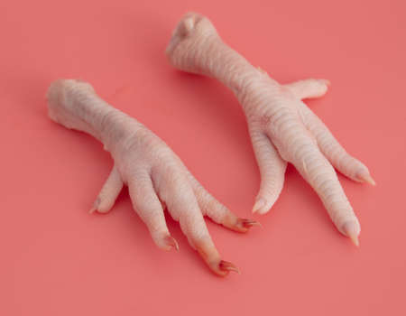 Chicken paws on a pink background. close-up
