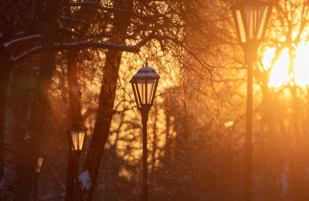 Lanterns in the park at sunset in winter.の写真素材