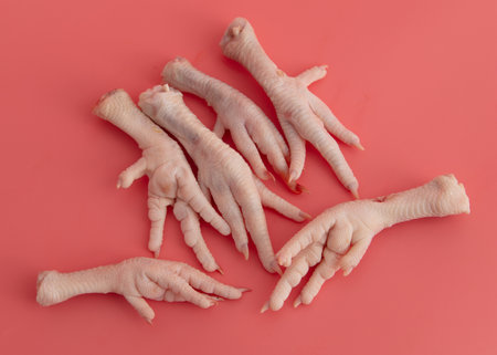 Chicken paws on a pink background. close-upの写真素材