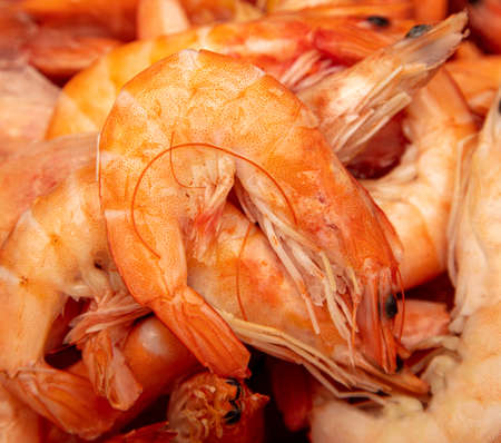 Red shrimps as a background. close-upの写真素材