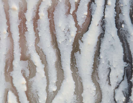 Stained milk on the glass of a glass as a background. close-upの写真素材