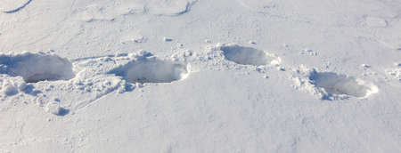Human footprints in the snow as background. nature in winter