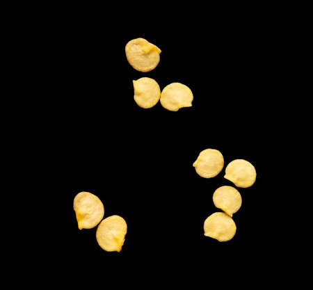 Pepper seeds isolated on black background. Macroの写真素材