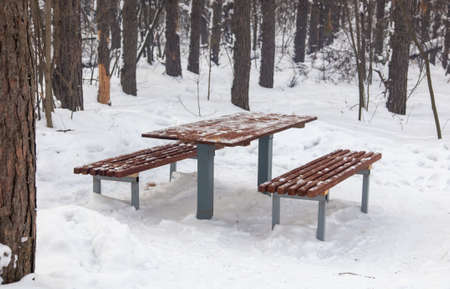 Became and benches in the forest in the snow. nature in winterの写真素材