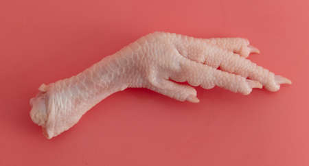 Chicken paws on a pink background. close-up