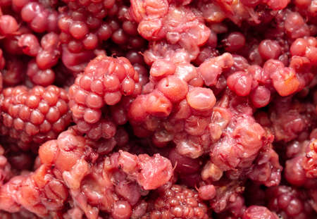 Red berries of frozen raspberries as a background. Macro
