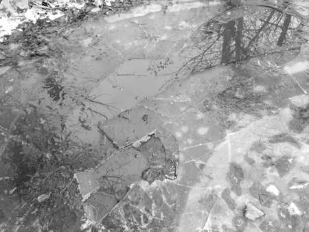 Frozen puddles on a dirt road. Nature in winter. Black and white photo