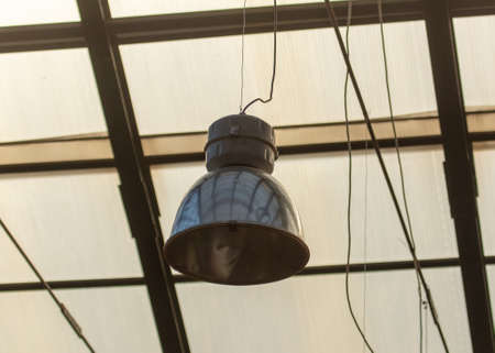 The lamp hangs on the ceiling in the greenhouse.
