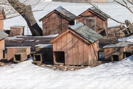 Duck house on the pond in the zoo in winter.