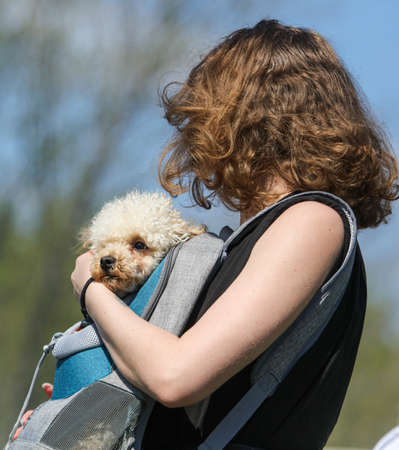 Girl with a dog in her hands in nature
