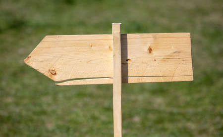 Wooden sign pointer in the park